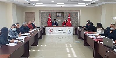 ARSUZ KAYMAKAMLIĞI VE PALMİYE HASTANESİ ARASINDA ‘TÜP BEBEK’ PROTOKOLÜ İMZALANDI