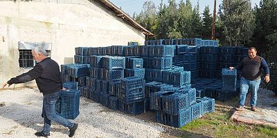 HBB’DEN ÜRETİCİYE ÜCRETSİZ ZEYTİN TOPLAMA KASASI