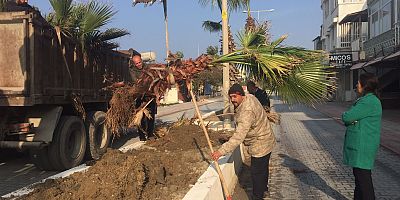 İLÇEMİZİ ESTETİK BİR GÖRÜNÜME KAVUŞTURMAK İÇİN ÇALIŞMALARIMIZI SÜRDÜRÜYORUZ.