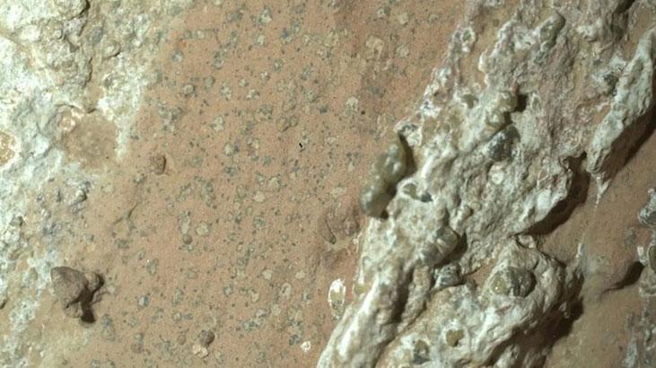 Tüm sırrı leopar çözecek! Mars'ta yaşam olduğuna dair en güçlü kanıt bulundu